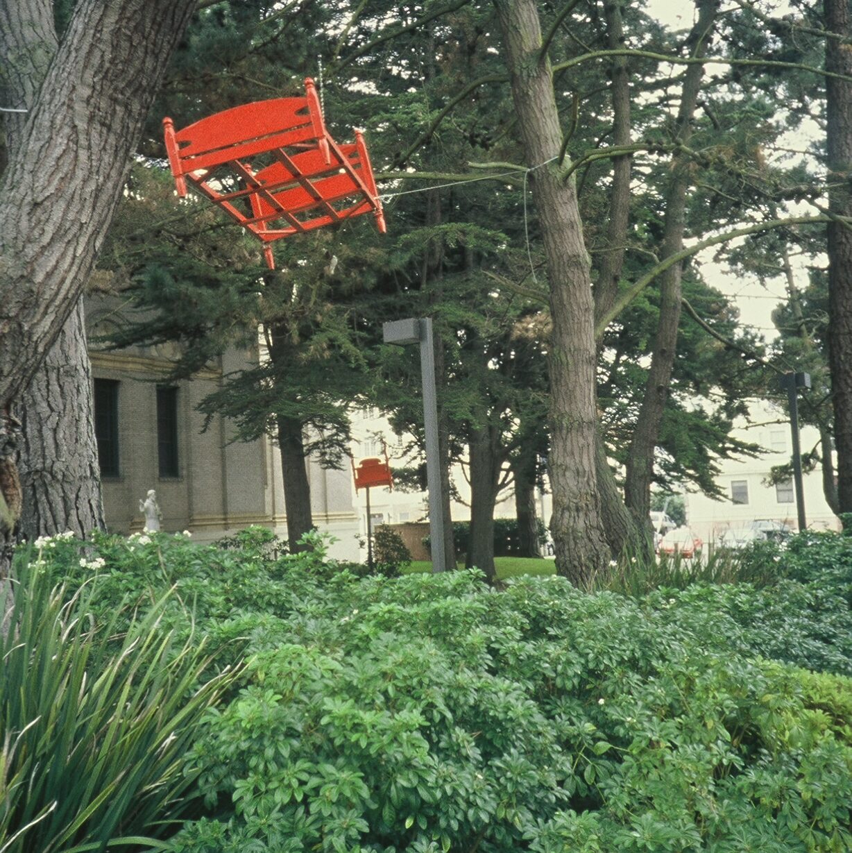 Red twin bed suspended in a tall cypress tree