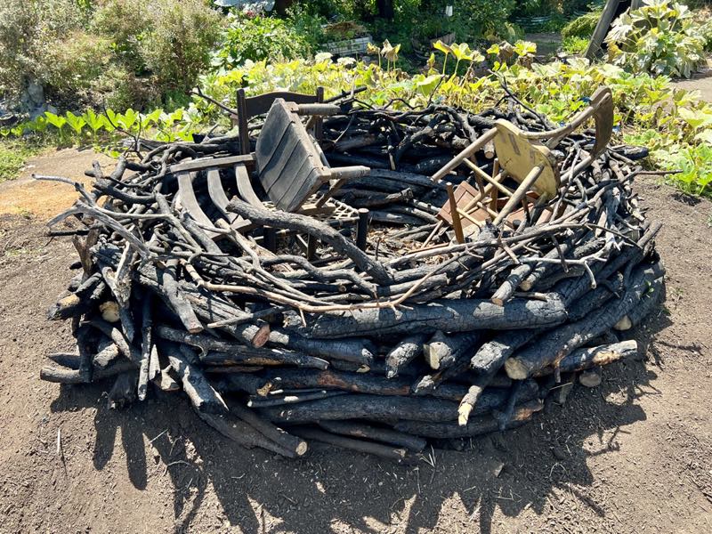 installation - nest made from burnt branches filled with 5 small chairs